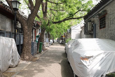 黑芝麻胡同 - 位于區(qū)域的西北部，呈東西走向