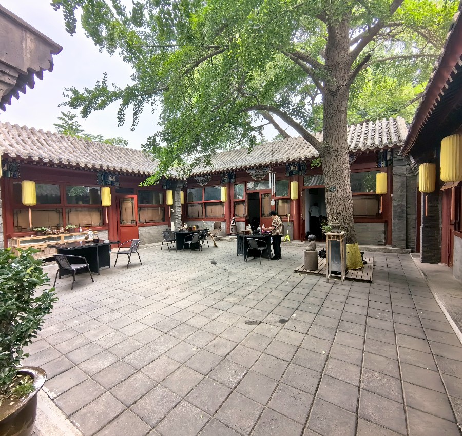 庭院